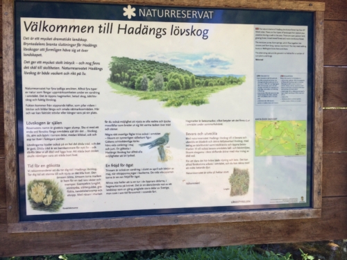 "Welcome to Hadängs deciduous forest."